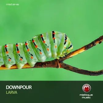 Larva by Downpour