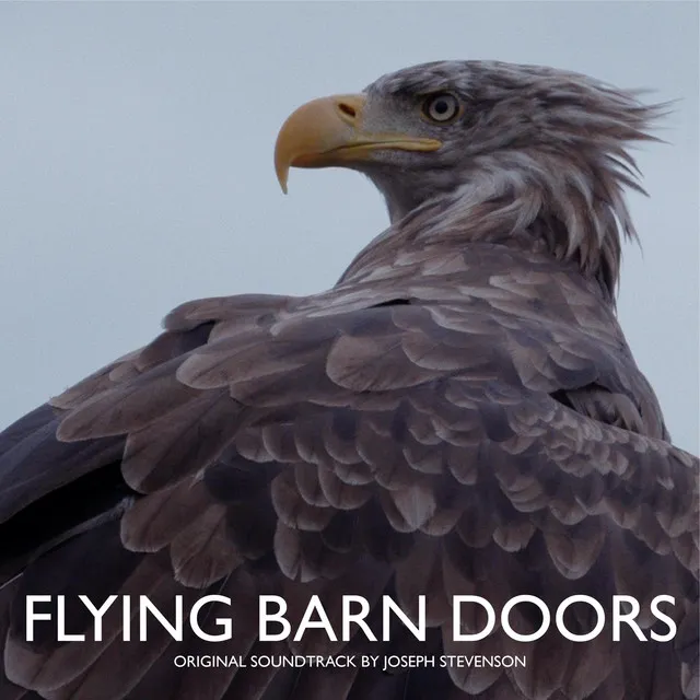 Flying Barn Doors (Original Soundtrack)