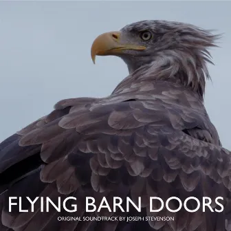 Flying Barn Doors (Original Soundtrack) by Joseph Stevenson