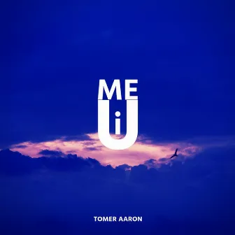 Me U I by Tomer Aaron