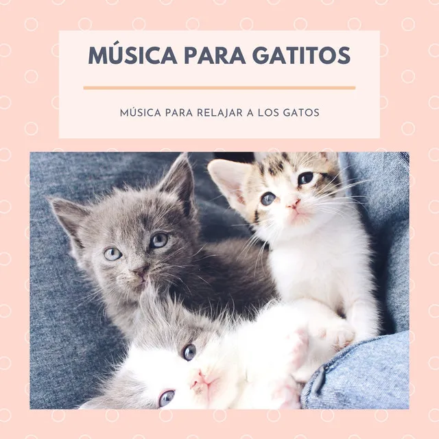 Música Relajante para Ayudar a Dormir