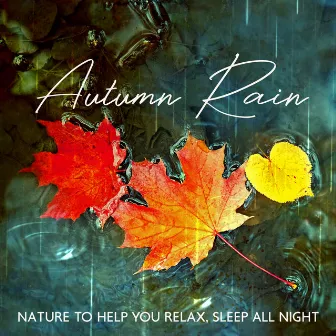 Autumn Rain (Nature to Help You Relax, Sleep All Night) by Healing Rain Music Zone