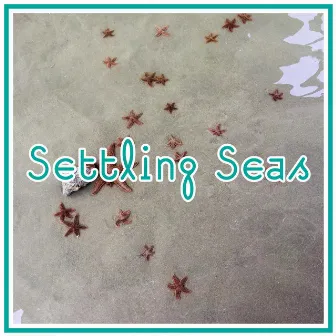 Settling Seas by Waves Sounds Library