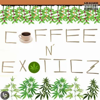 Coffee & Exotics by Lesso