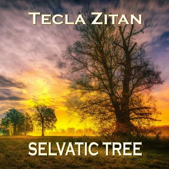 Selvatic Tree by TECLA ZITAN