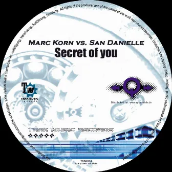 Secret Of You by San Danielle