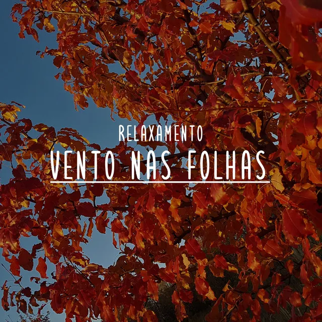 Relaxamento: Vento nas Folhas