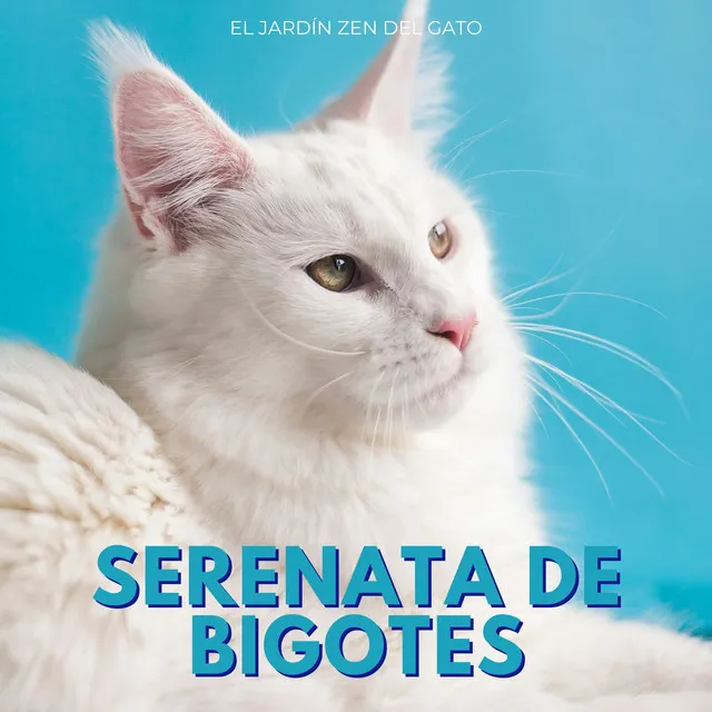 Serenata De Bigotes: El Jardín Zen Del Gato