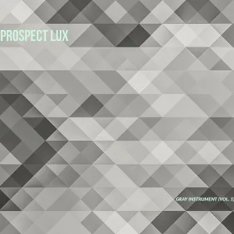 Gray Instrument, Vol. 1 by Prospect Lux