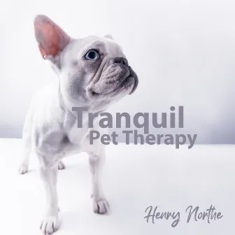 Tranquil Pet Therapy by Henry Northe