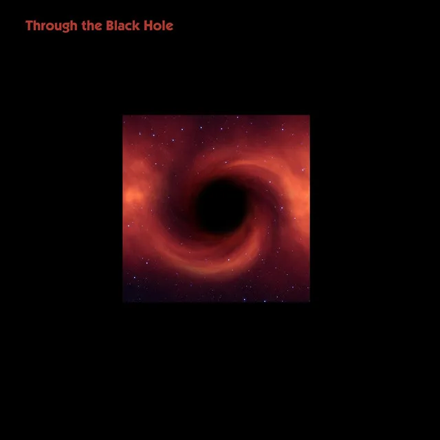 Through the Black Hole