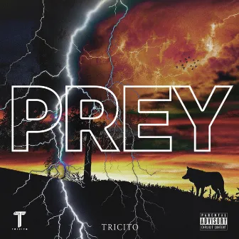 PREY by TRICITO