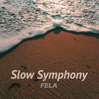 Slow Symphony by Fela