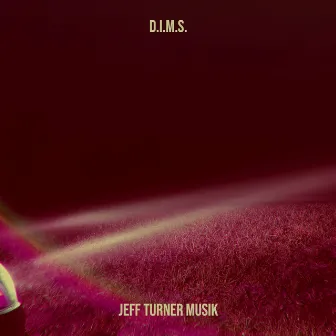 D.I.M.S. by Jeff Turner Musik