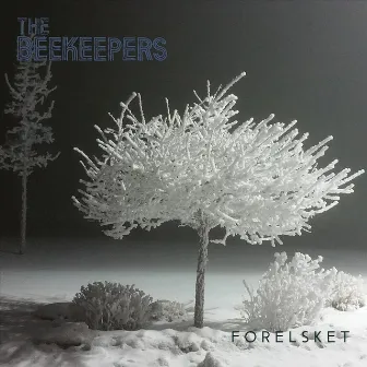 Forelsket by The Beekeepers