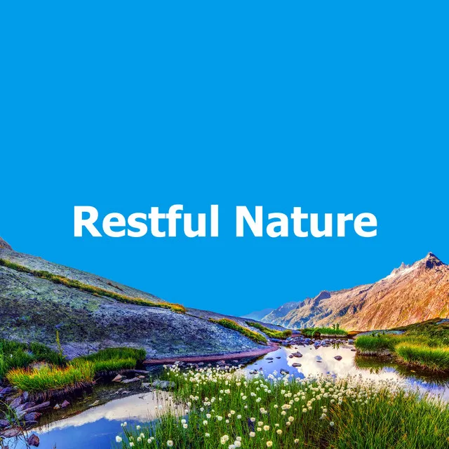 Restful Nature