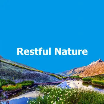 Restful Nature by Waters Of Deluge