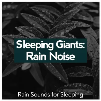 Sleeping Giants: Rain Noise by Rain Sounds for Sleeping