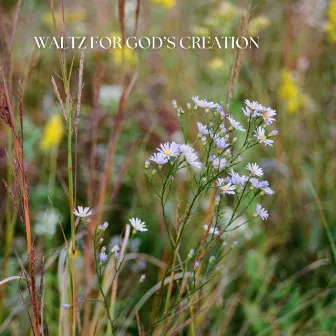 Waltz for God's Creation by Kyle Fosburgh