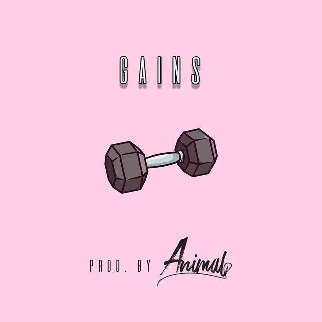 Gains - Instrumental