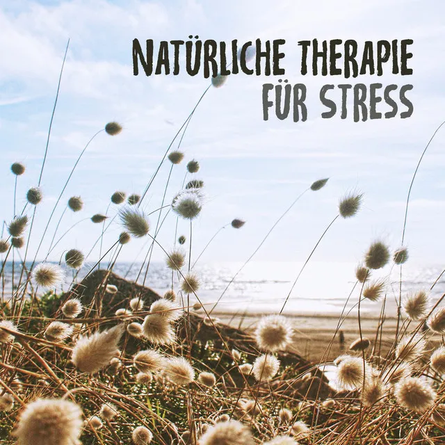 Natürliche Therapie für Stress: Die beste Entspannungsmusik für Meditation, Entspannung, Nachdenken, überwinden Sie Angst mit Naturgeräuschen