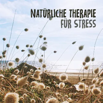 Natürliche Therapie für Stress: Die beste Entspannungsmusik für Meditation, Entspannung, Nachdenken, überwinden Sie Angst mit Naturgeräuschen by Entspannungmusik Academy