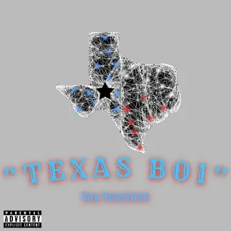 Texas Boi by Ray Houstonn