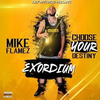 Choose Your Destiny: Exordium by Mike Flamez