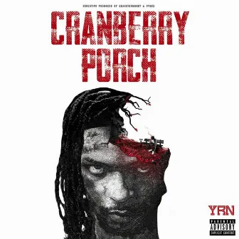 Cranberry Porch by YRN Murk