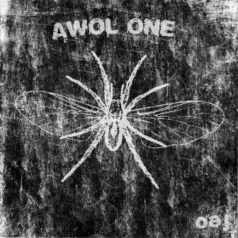 Feo by AWOL One