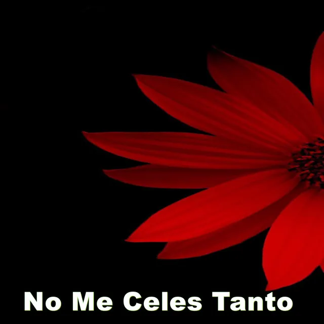 No Me Celes Tanto