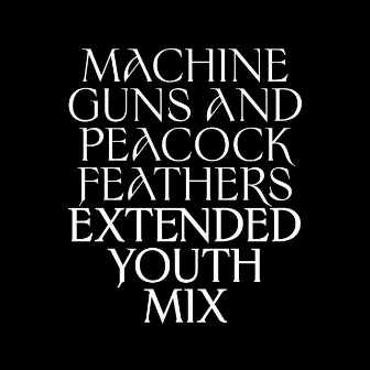 Machine Guns and Peacock Feathers (Extended Youth Mix) by Ulver