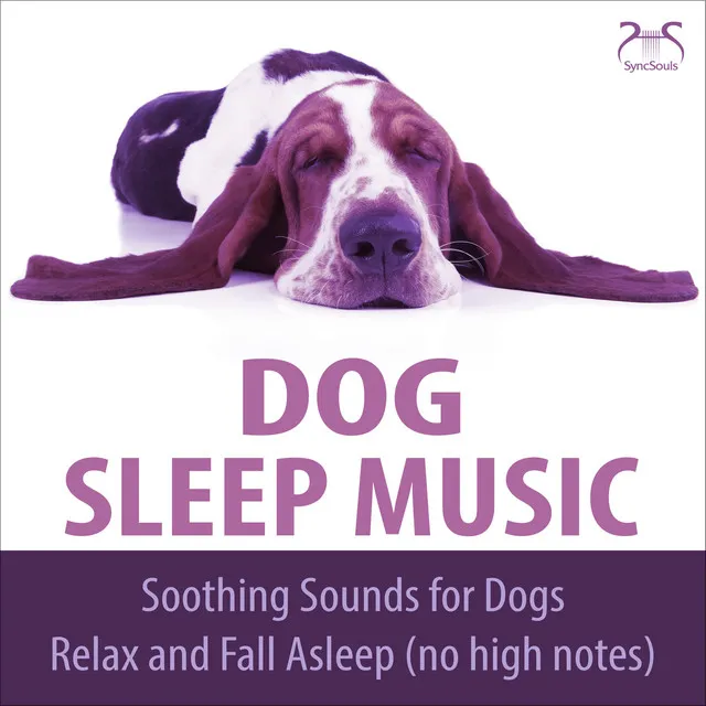 Piano Dogs Sleeping music & rain noise, falling asleep without high frequencies