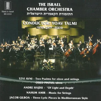 The Israel Chamber Orchestra by Oded Pintus