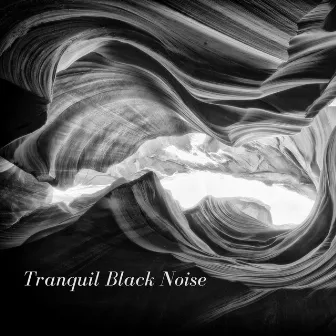 Tranquil Black Noise by Dreams of Dreams