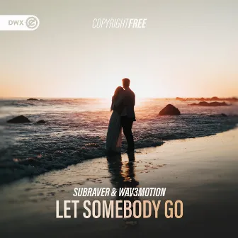 Let Somebody Go by Wav3motion