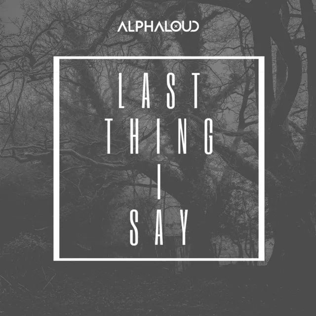 Last Thing I Say - Radio Edit