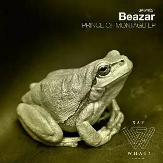 Prince Of Montagu EP by Beazar