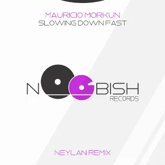 Slowing Down Fast (Neylan Remix) by Mauricio Morkun