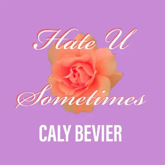 Hate U Sometimes by Caly Bevier