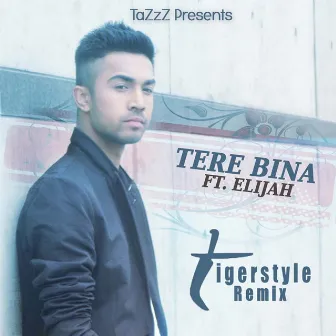 Tere Bina (Tigerstyle Remix) by TaZzZ