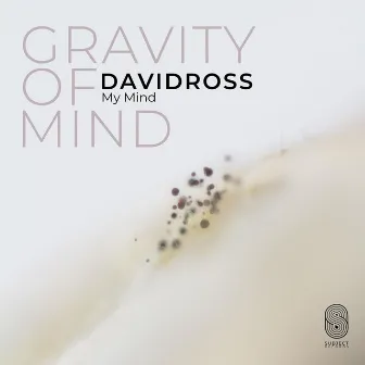 My Mind by David Ross