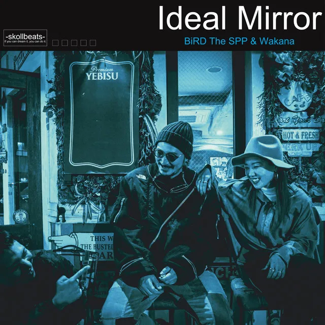 Ideal Mirror