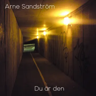 Du är den (Radio Edit) by Arne Sandström