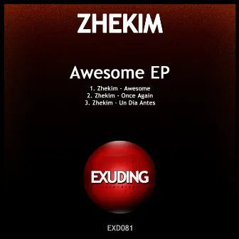 Awesome by Zhekim