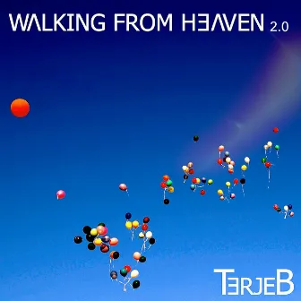 Walking from Heaven 2.0 by Terje Baugerød