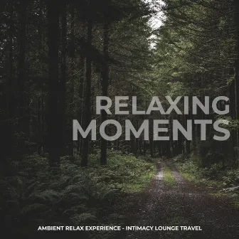 Relaxing Moments by Ambient Relax Experience