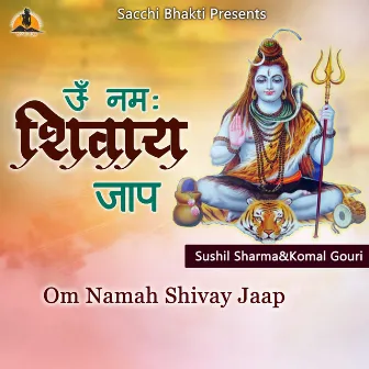 Om Namah Shivay Jaap by 