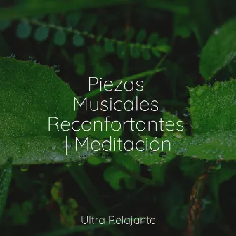 Piezas Musicales Reconfortantes | Meditación by Escola de Meditação