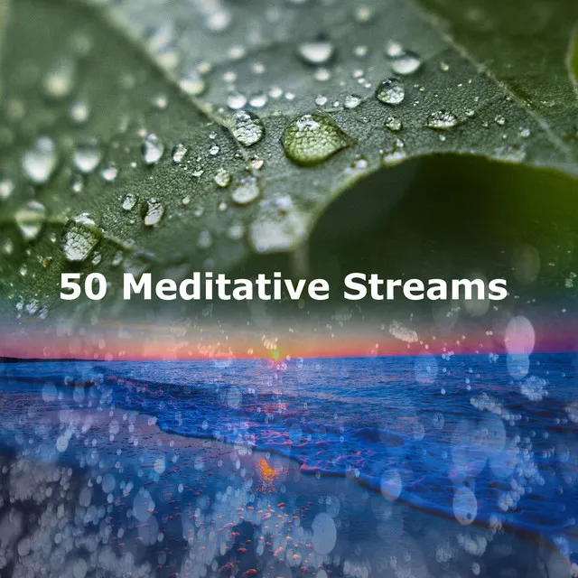 50 Meditative Streams